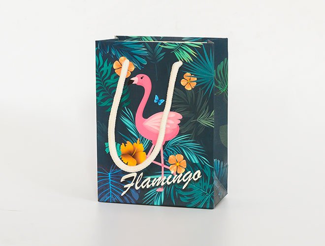 Custom Gift Paper Bag Clothing Accessories Shopping Paper Bag